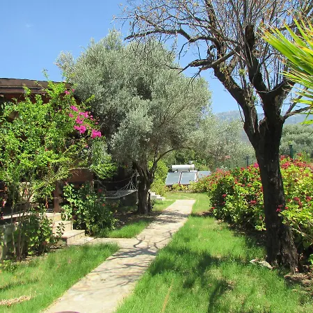 Holiday home Datca Ovabuku Ahsap Evler Doseme