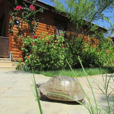 Holiday home Datca Ovabuku Ahsap Evler *